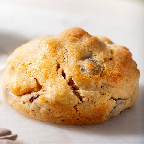 Walnut Chocolate Chip